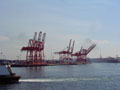 cranes on the waterfront.jpg